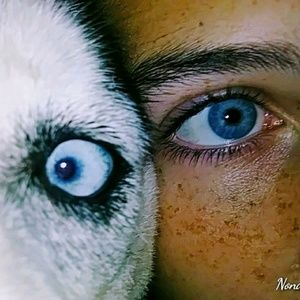 Meet your Posher, Nondus